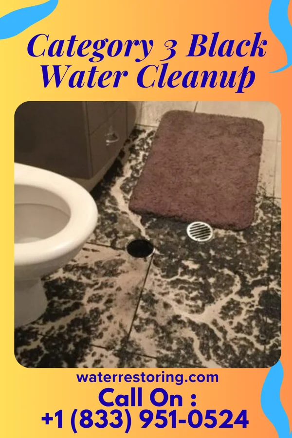 Category 3 Black Water Cleanup in Windham, OH
