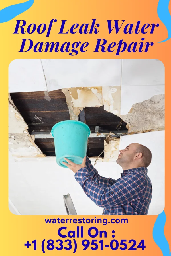 Roof Leak Water Damage Repair in Windham, OH