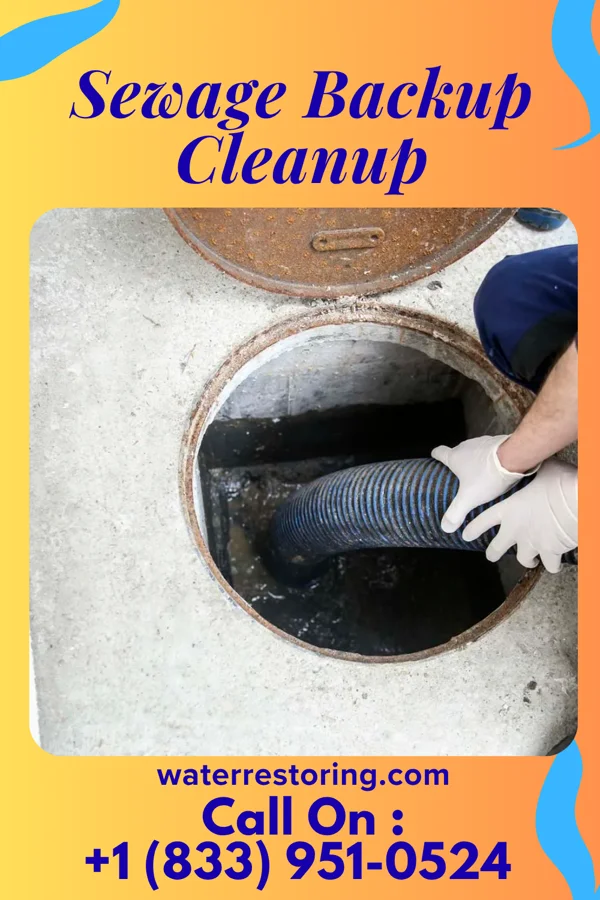 Sewage Backup Cleanup in Windham, OH