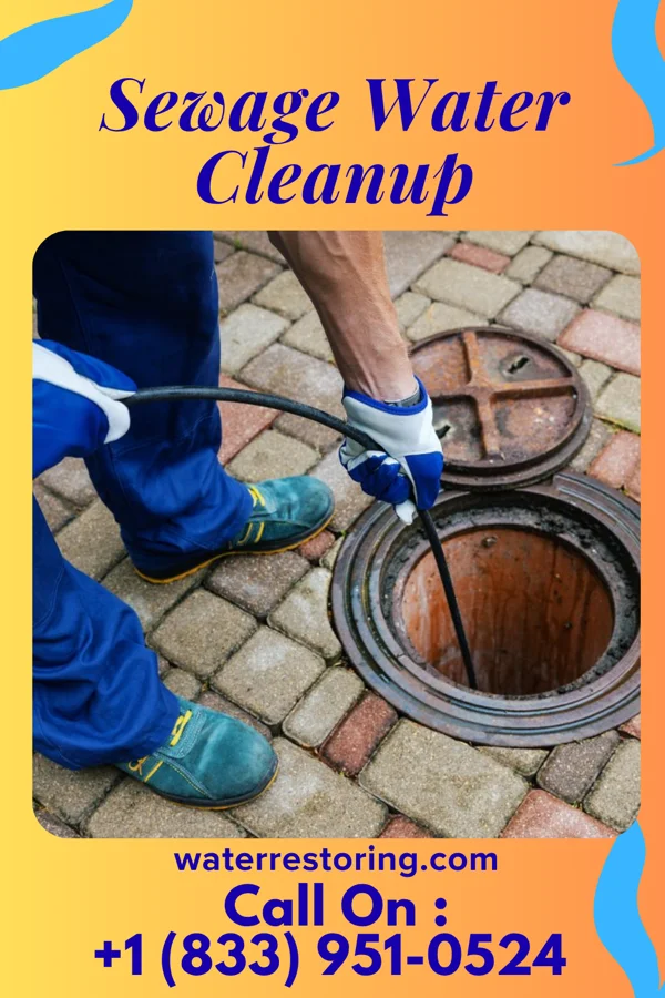 Sewage Water Cleanup in Windham, OH