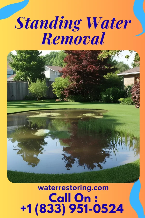 Standing Water Removal in Windham, OH
